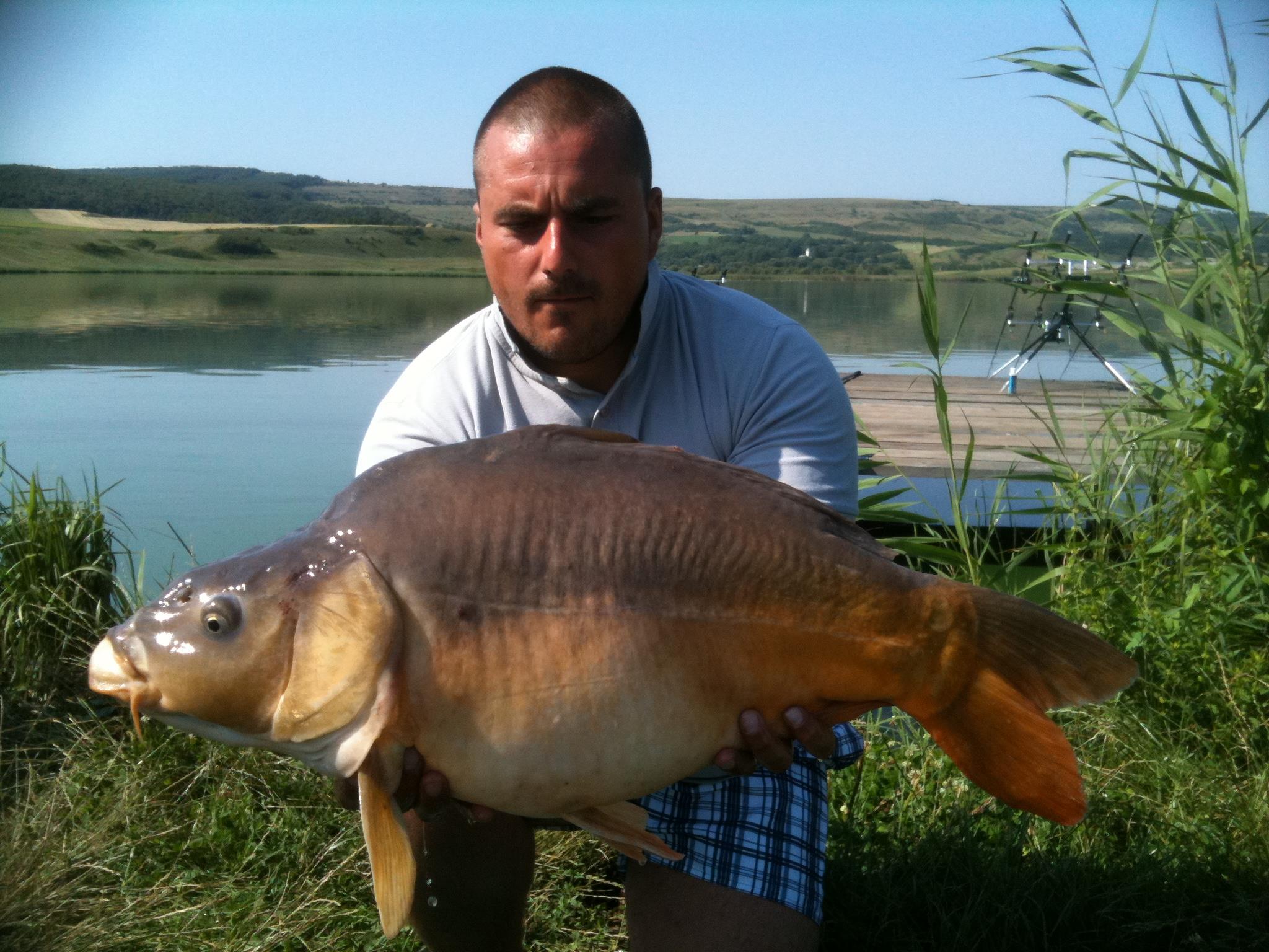ccarp - IMG_0599.JPG